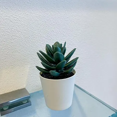 Centro Storico Nido A 147 Passi Dal Maggiore Appartement *